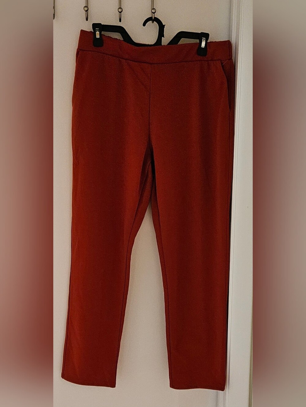Zara Burnt Orange Elastic Waist Textured Pants Size XL NWOT